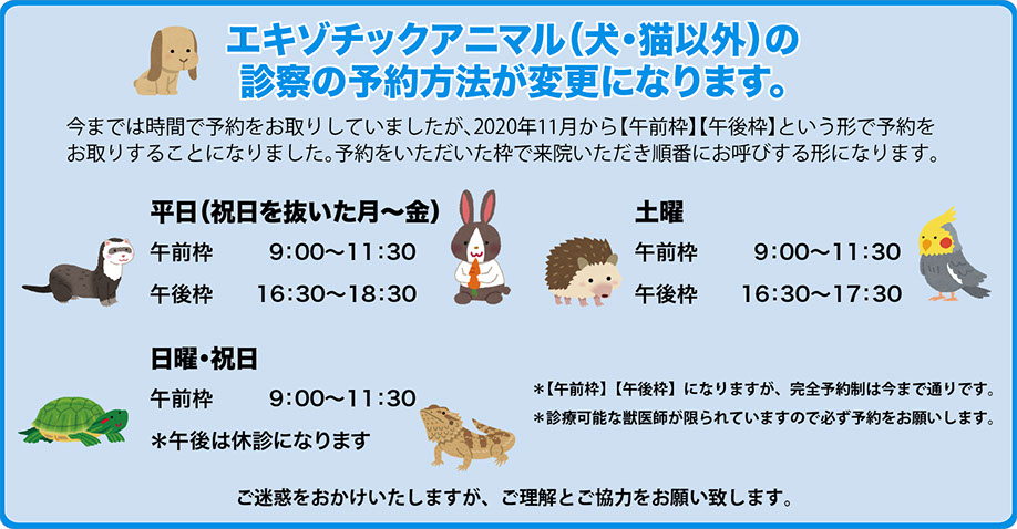 川村動物病院 新潟市 Ct検査 腹腔鏡 腫瘍科認定医