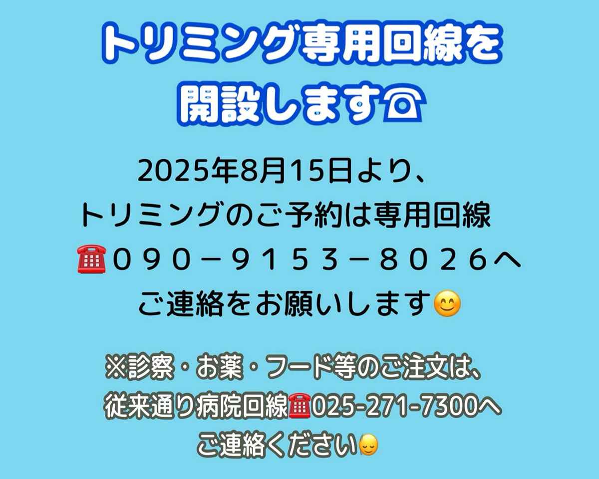 トリミング専用回線開設